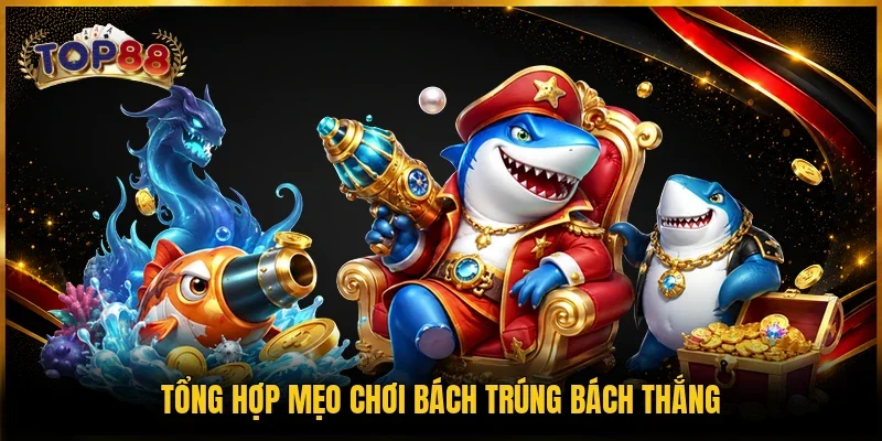 Tổng hợp mẹo chơi bách trúng bách thắng